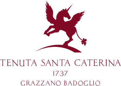 Santa Caterina logo