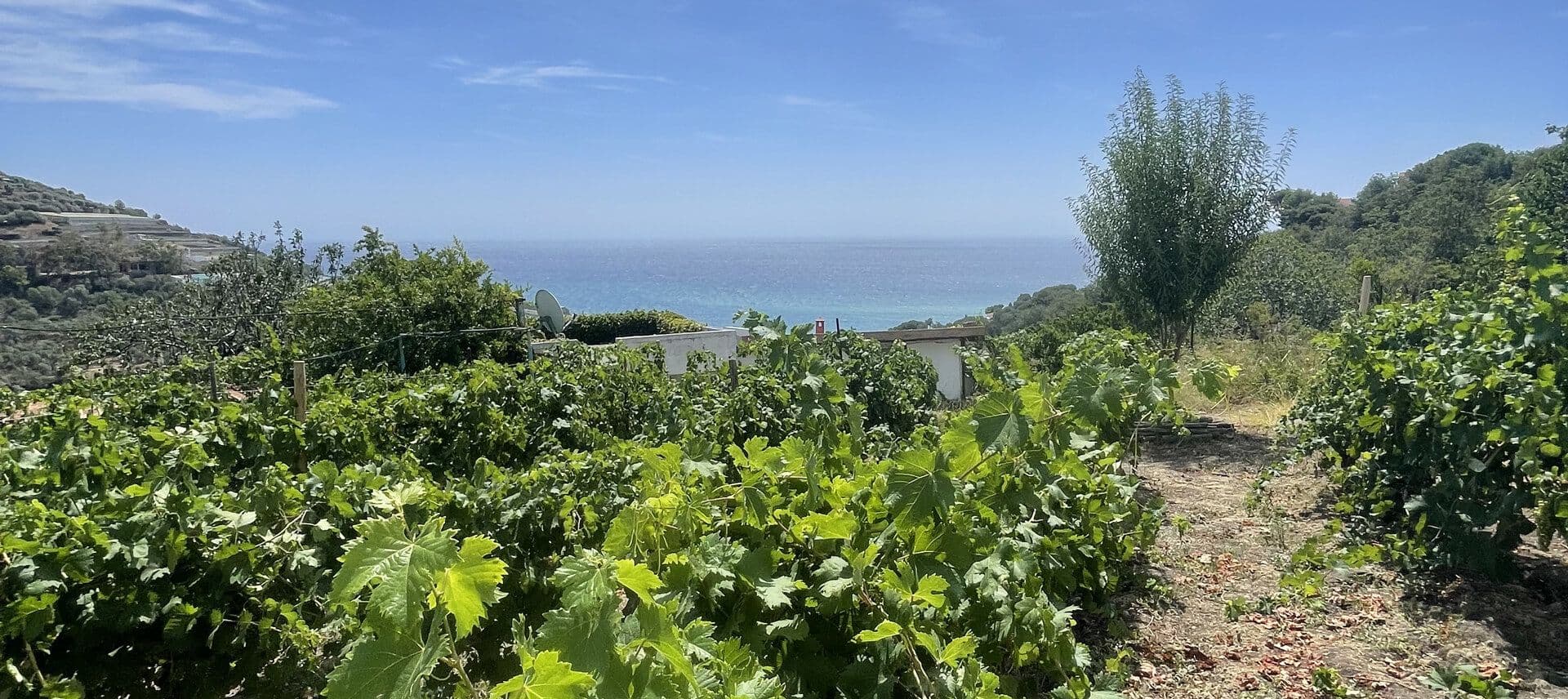 Ca' di Frei – bilde 4